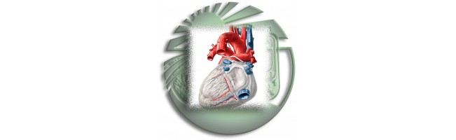 Cardio-vasculaire